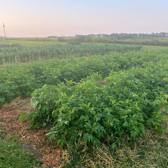 Meet your Posher, Bertha great! Deals on bundles!! - Picture 3 of 15